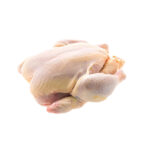 Poulet de chaire frais