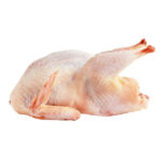 Poulet pondeuse frais
